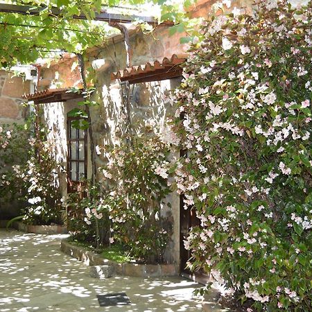 Casa Loureiro Guest House Калдас Де Реис Екстериор снимка